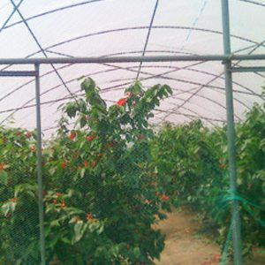 ��Чת��ũĤ��ũ��ת�����Ĥ��